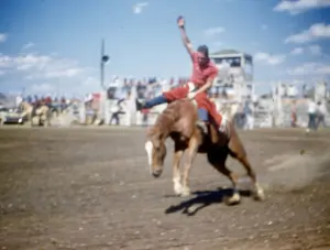 17 Rodeo Competitive