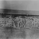 Hatchet Ranch