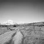 The Elk Ranch