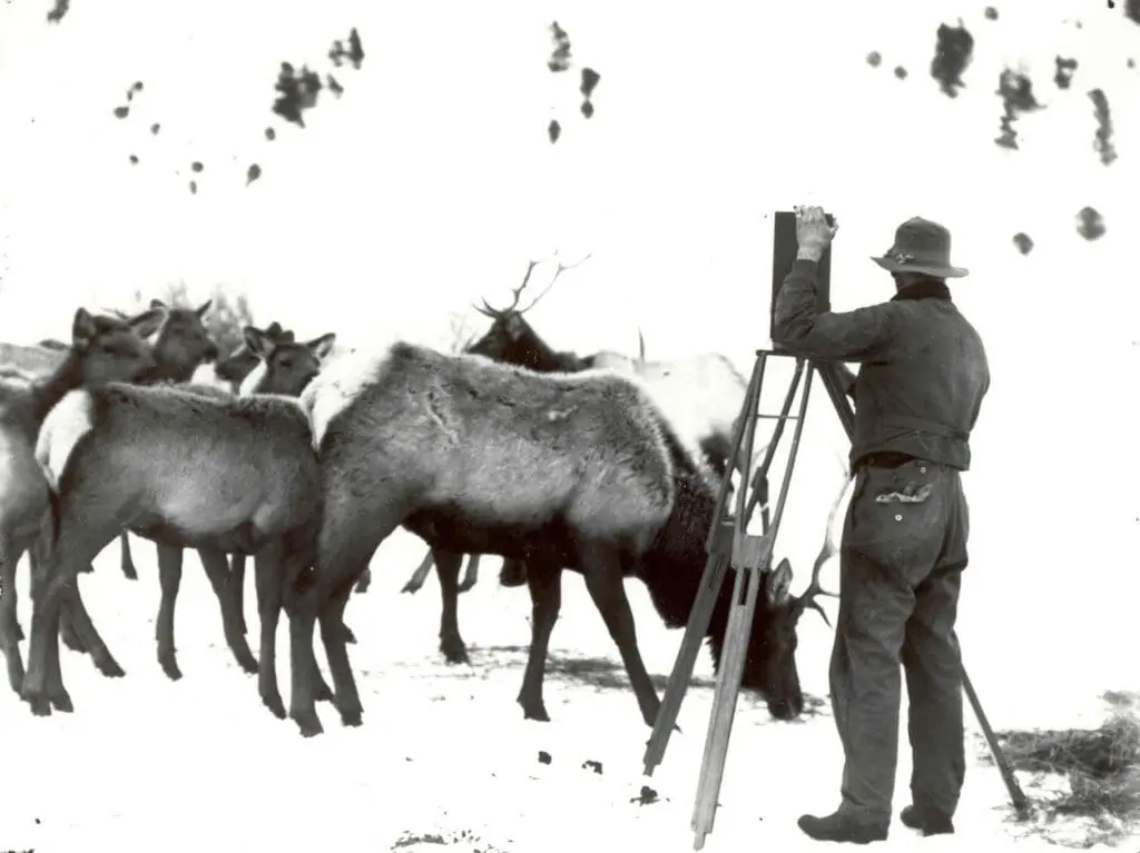 Photographer on Elk Refuge