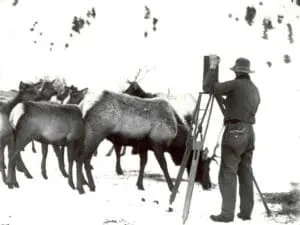 Photographer on Elk Refuge
