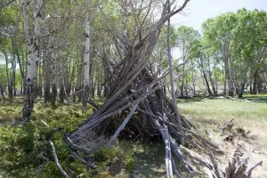 Wikiup. Constructed with logs patched together with mud and grass for a shelter. Also called a Conical Timber Lodge. Photo courtesy of Matthew Stirn.
