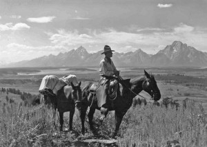 Shadd Hobbs of the Jenny Lake Ranch. Photograph by Harrison Crandall.