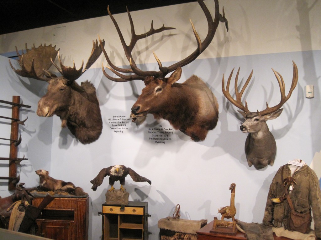 IMG 4435 Jackson Hole Historical Society Museum   IMG 4435 1024x768 