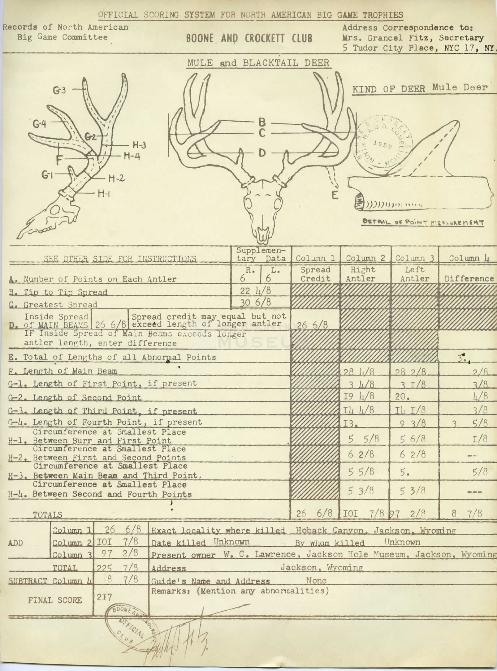 Hoback Buck - Jackson Hole Historical Society & Museum