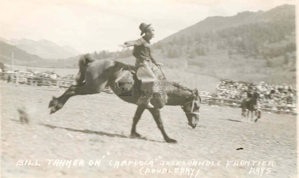 Bill Tanner riding “Carioca” at the Jackson Hole Frontier Days.