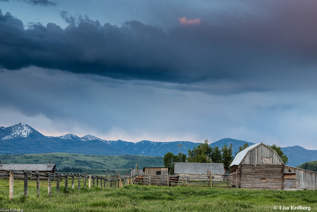 Andy Chambers Homestead: Ranch View