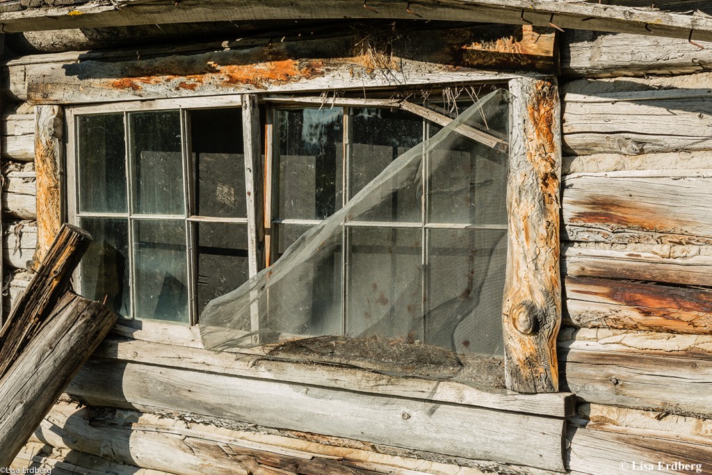 Bar BC Ranch: Window