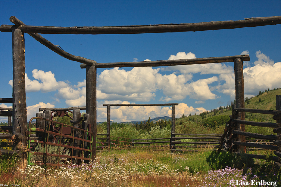 Elk Ranch: Corrals
