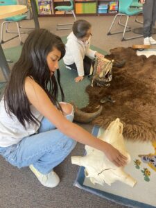 Camp at the History Museum.