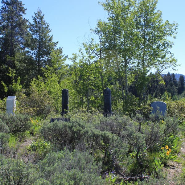 Allen Cemetery History Jackson Hole