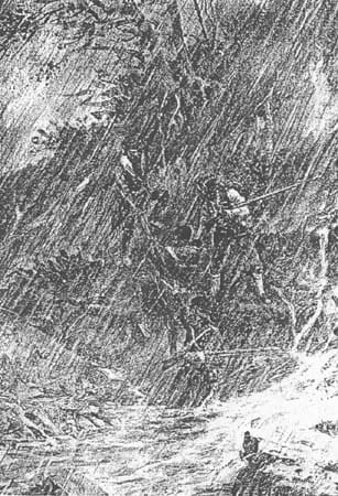 Fig 19: The Deluge at Colter Falls