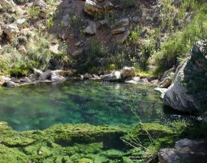 Thermopolis--one of the springs